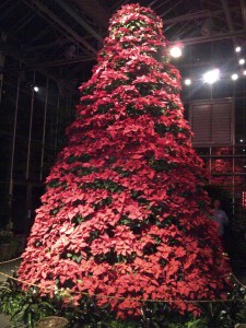 IMG-20111230-00026 - Version 2