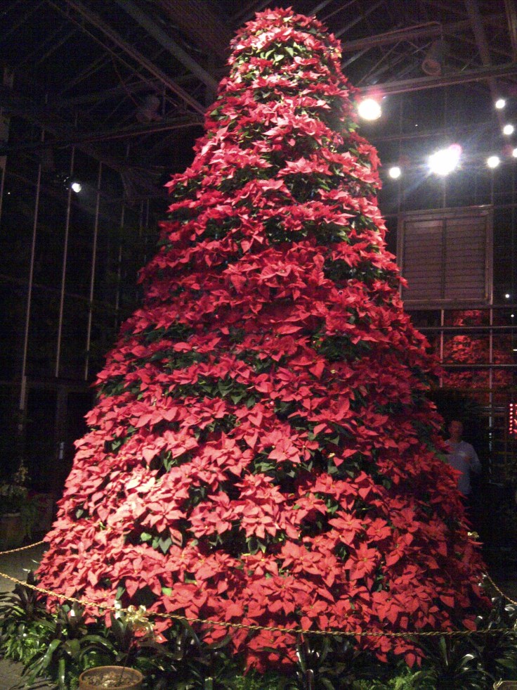 IMG-20111230-00026 - Version 2